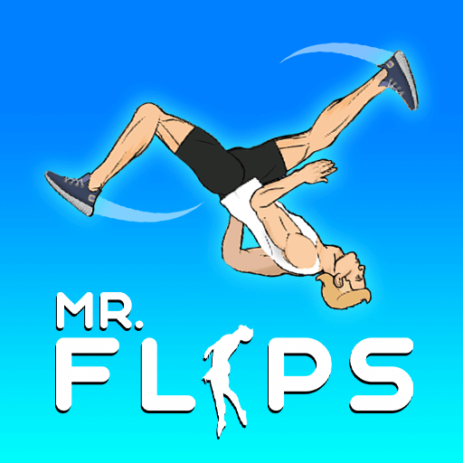 Play game Mr. Flip